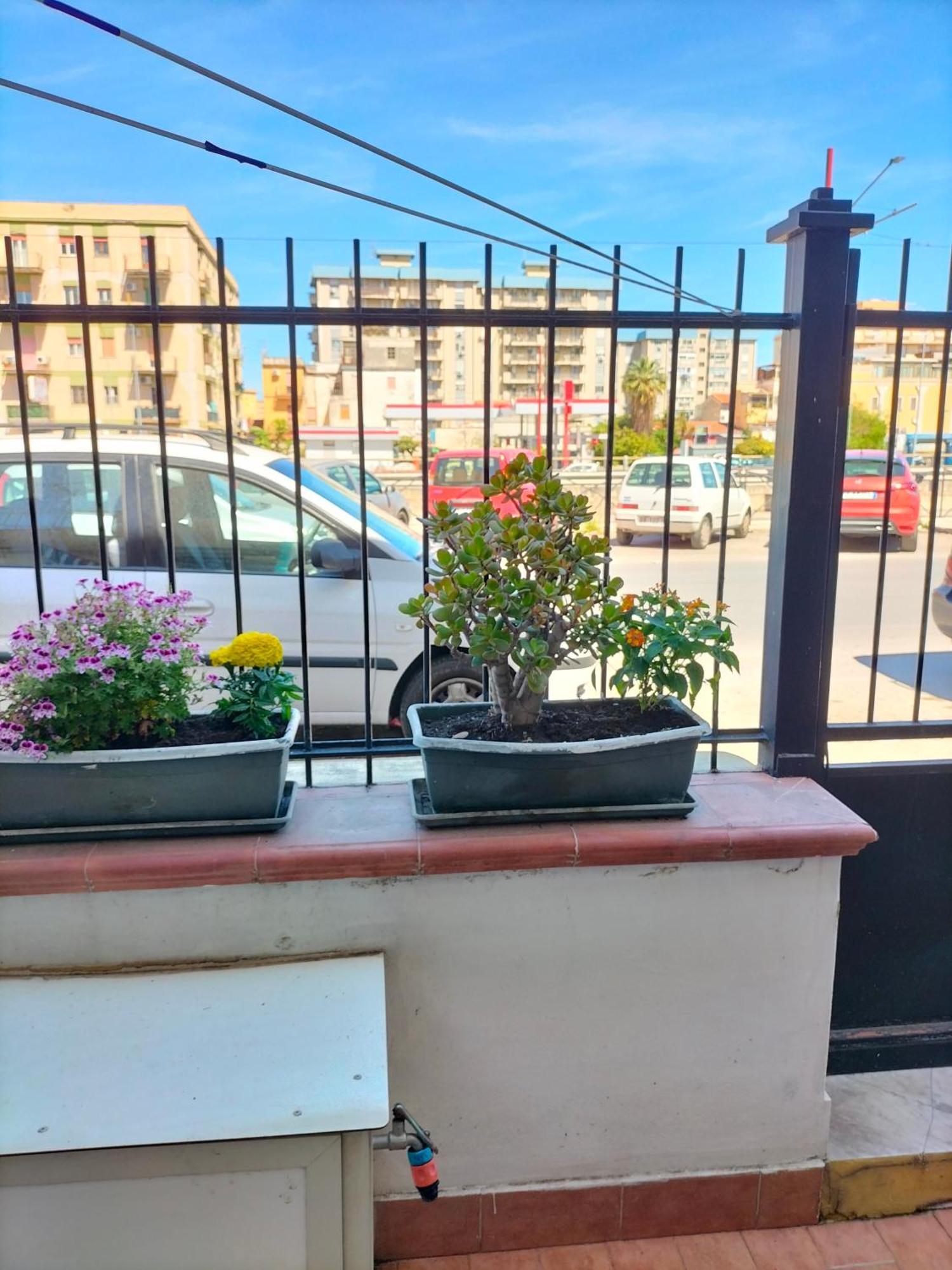 Ciuridda Mia Apartment Palermo Exterior photo